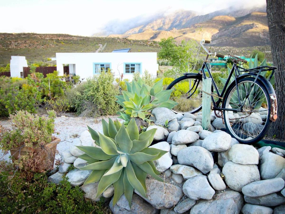 Villa Starry Starry Night - Route 62 Montagu Esterno foto