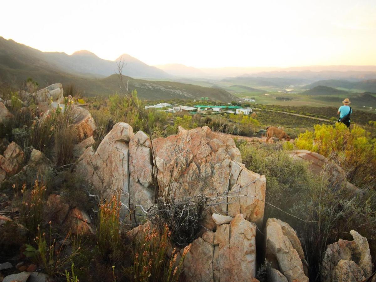 Villa Starry Starry Night - Route 62 Montagu Esterno foto