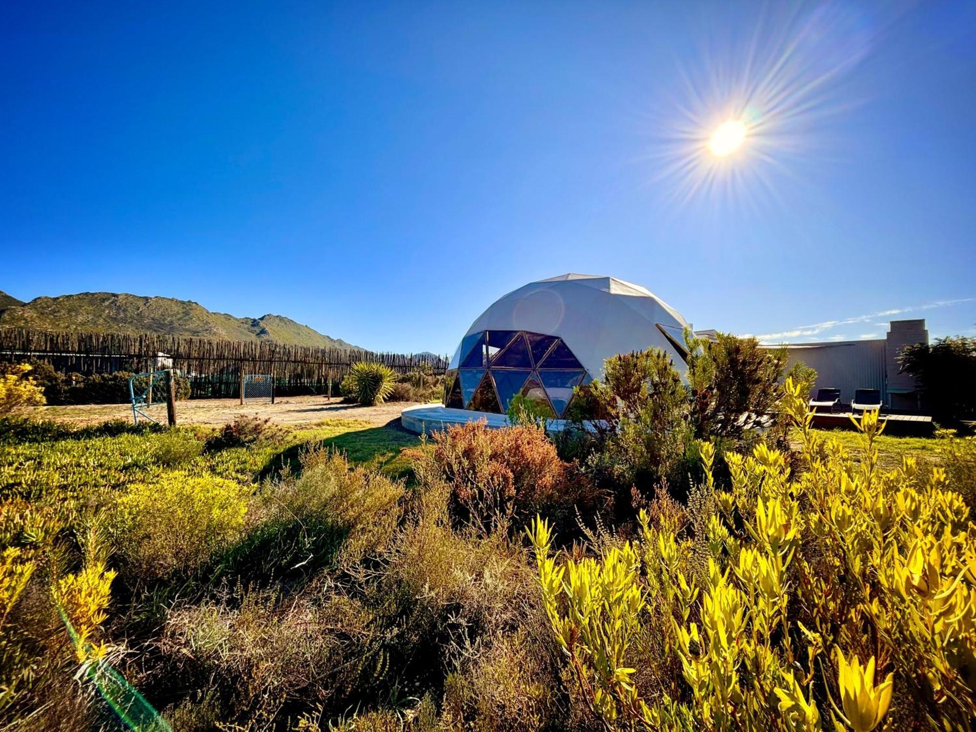 Villa Starry Starry Night - Route 62 Montagu Esterno foto